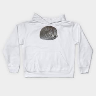 Baxter Ball Cat Nap Kids Hoodie